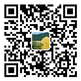 赢多多旧版
